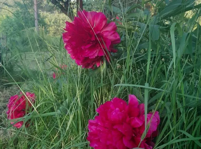 Chaloupka Pod Jablonemi Хршибска